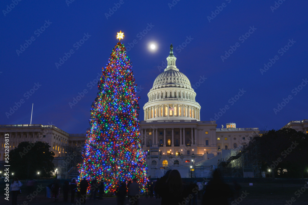 Capitol building and Christmas tree at night - Washington DC United States