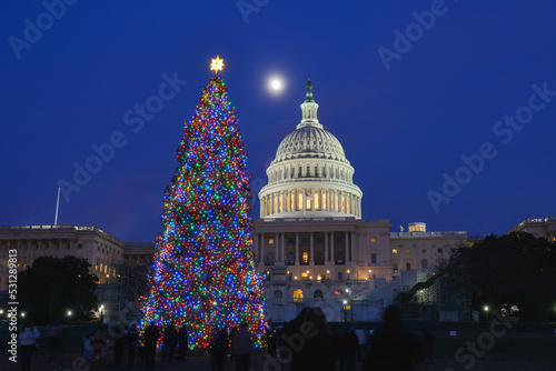 Capitol building and Christmas tree at night - Washington DC United States