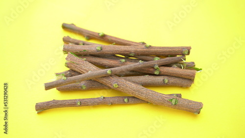 Herbal neem leaves and branch over white background. Medicinal neem twigs