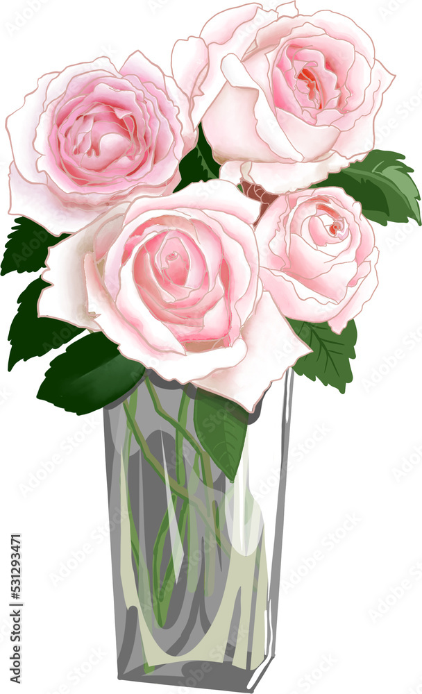 Digital watercolor painting of top view Light pink rose. Transparency