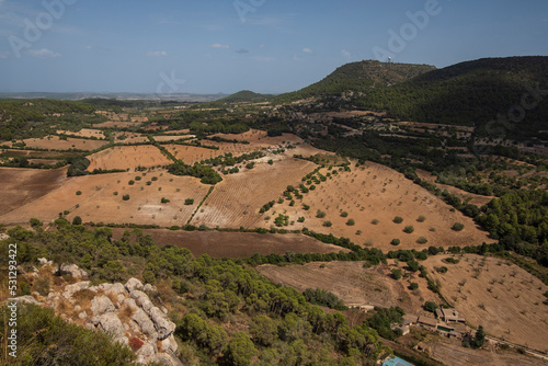 farmland between Algaida and Llucmajor, Majorca, Balearic Islands, Spain
