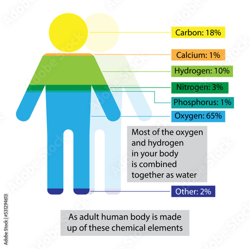 illustration of biology and chemistry, minerals in the human body, Minerals are important for making enzymes and hormones, The amount of minerals in the human body