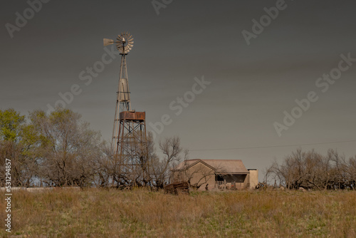 Tres Lagunas  Province of Buenos Aires  Argentina.