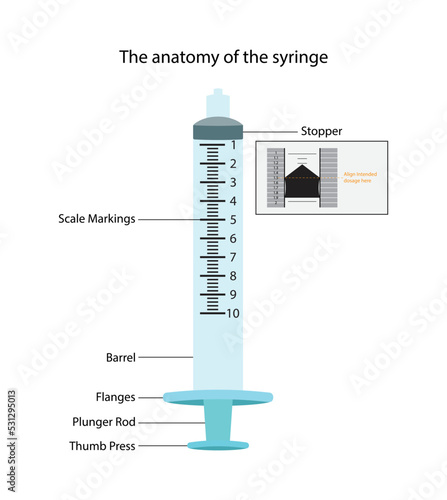 illustration of biology and medical, The anatomy of the syringe, A syringe is a simple reciprocating pump consisting of a plunger, Medical equipment for injecting patients