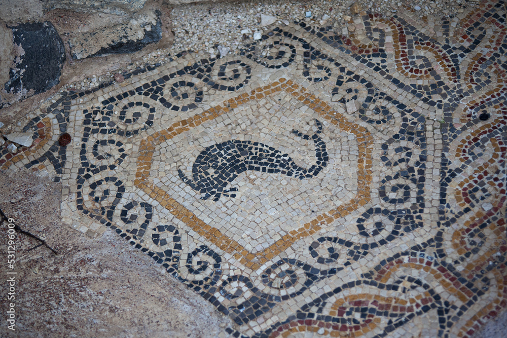 Ancient Roman mosaic depicting a whale in the ruins of Scythopolis, Beit She'an
