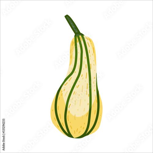 White green yellow pumpkin handdrawn