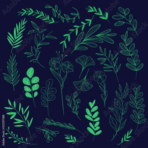 hand drawn wedding ornaments vector design illustration
