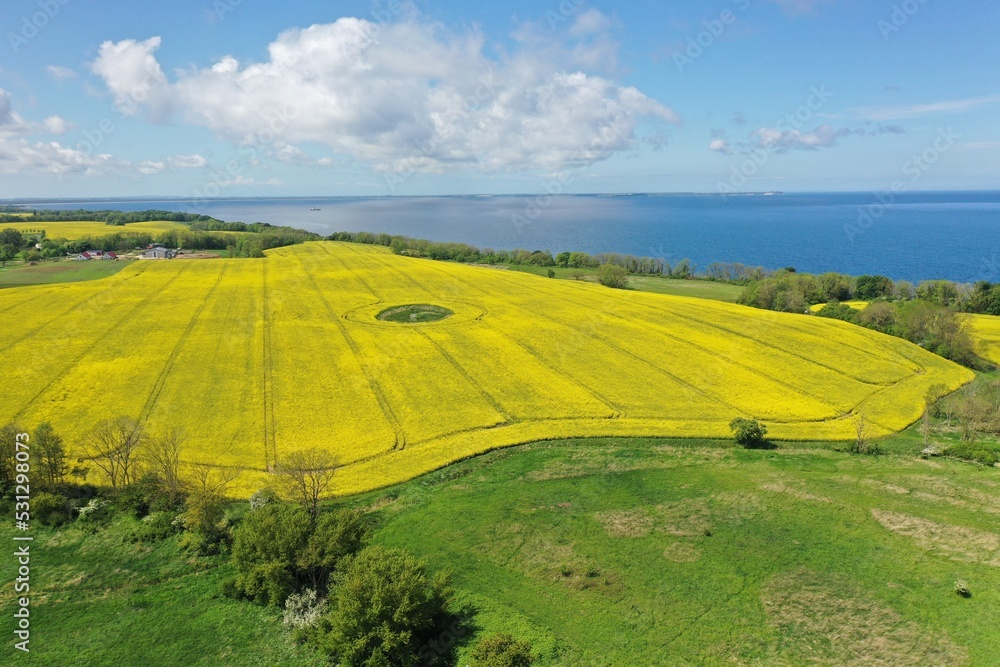 The island Ruegen Germany with many rape fields and lighthouse