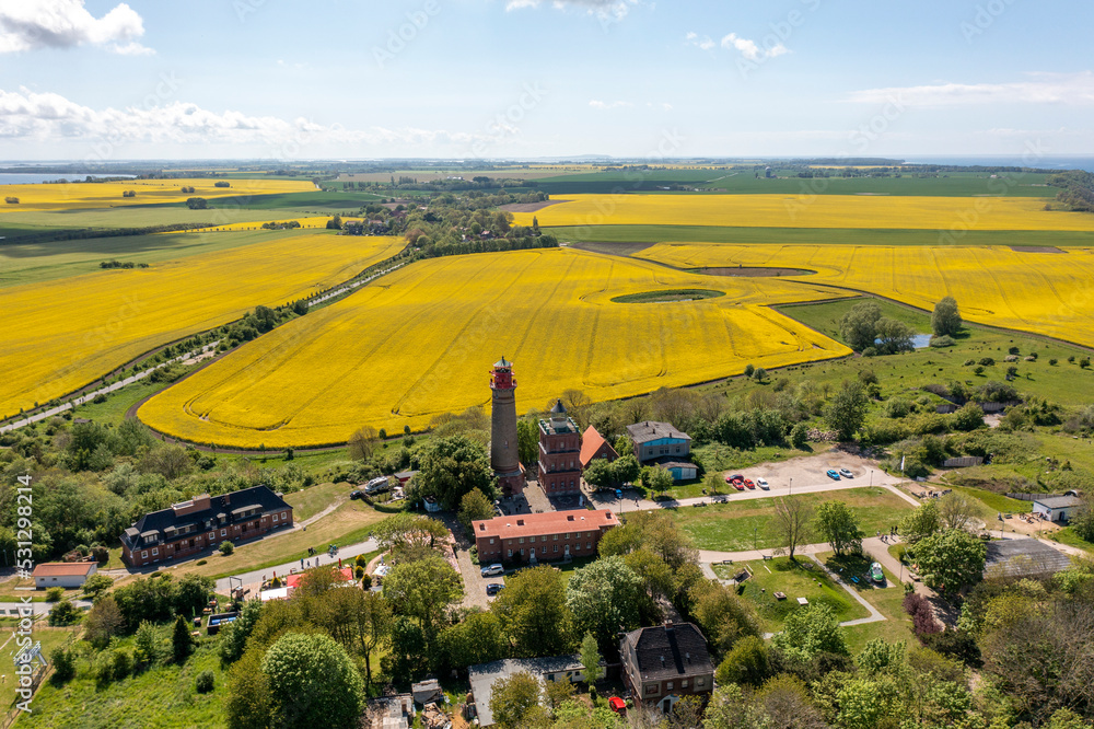 The island Ruegen Germany with many rape fields and lighthouse