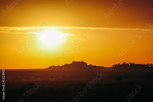 Wallpaper Mural Serengeti sunrise Torontodigital.ca