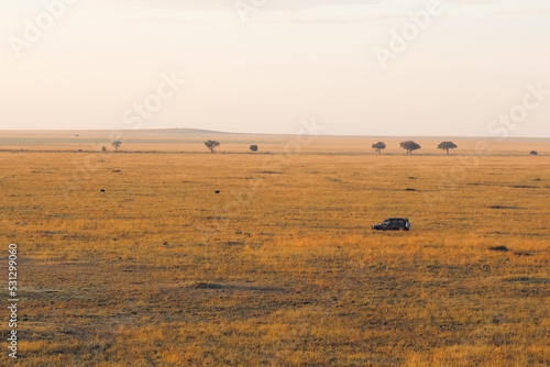 Wallpaper Mural Serengeti landscape Torontodigital.ca