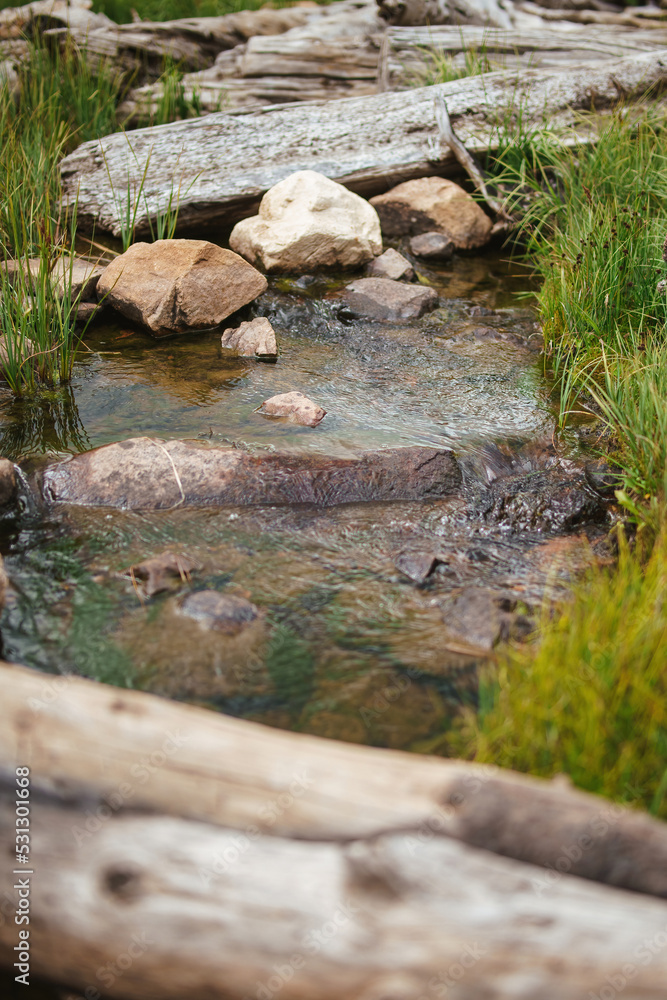 Fototapeta premium Long exposure of motion blurred stream flowing gently through rocks and logs under soft diffuse natural light 