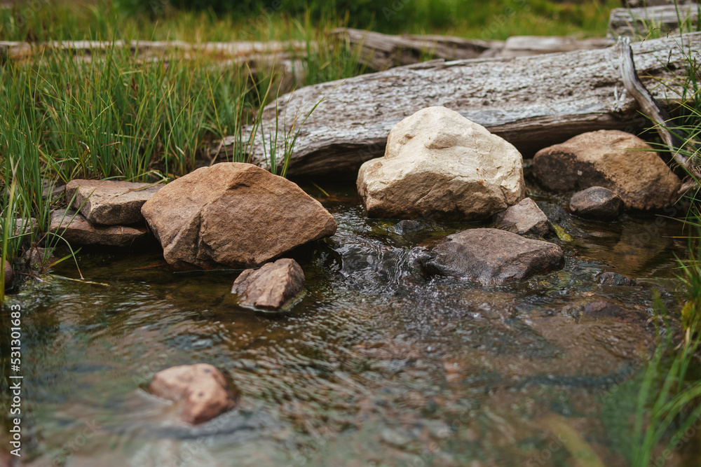 Long exposure of motion blurred stream flowing gently through rocks and logs under soft diffuse natural light Long exposure of motion blurred stream flowing gently through rocks and logs under soft diffuse natural light