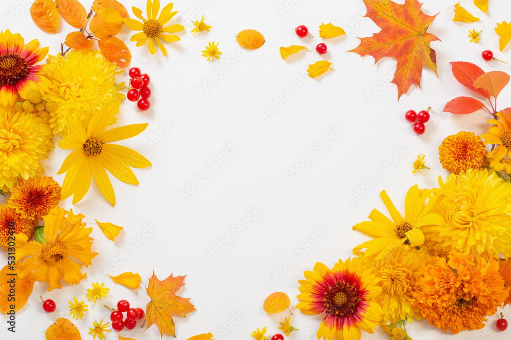 autumn flowers and leaves on white paper background autumn flowers and leaves on white paper background