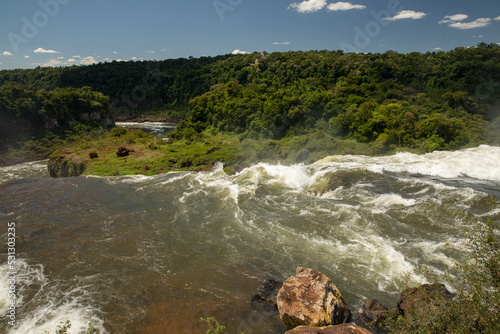 View of the Iguazu waterfalls in the frontier between Argentina and Brazil. The rocky river, falling water and cascade, with the green jungle and lush vegetation in the background.