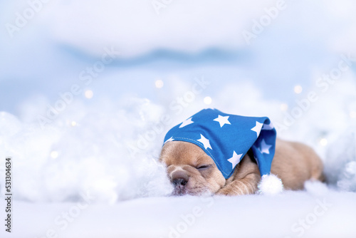Fotografi Sleepy French Bulldog puppy with nightcap lying between fluffy clouds and stars