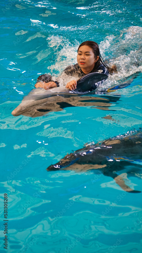 Fototapeta premium Vertical picture of a woman riding a dolphin swims in the pool.