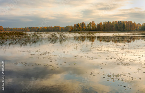 Autumn landscape on Lake Vuoksa in the Leningrad region.