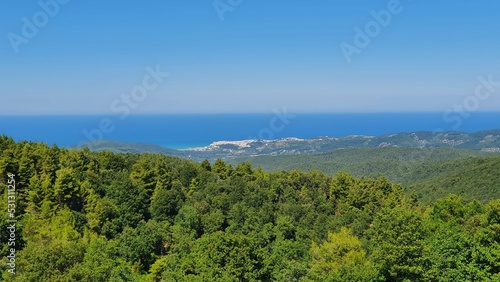 Tableau sur toile Foresta Umbra Gargano