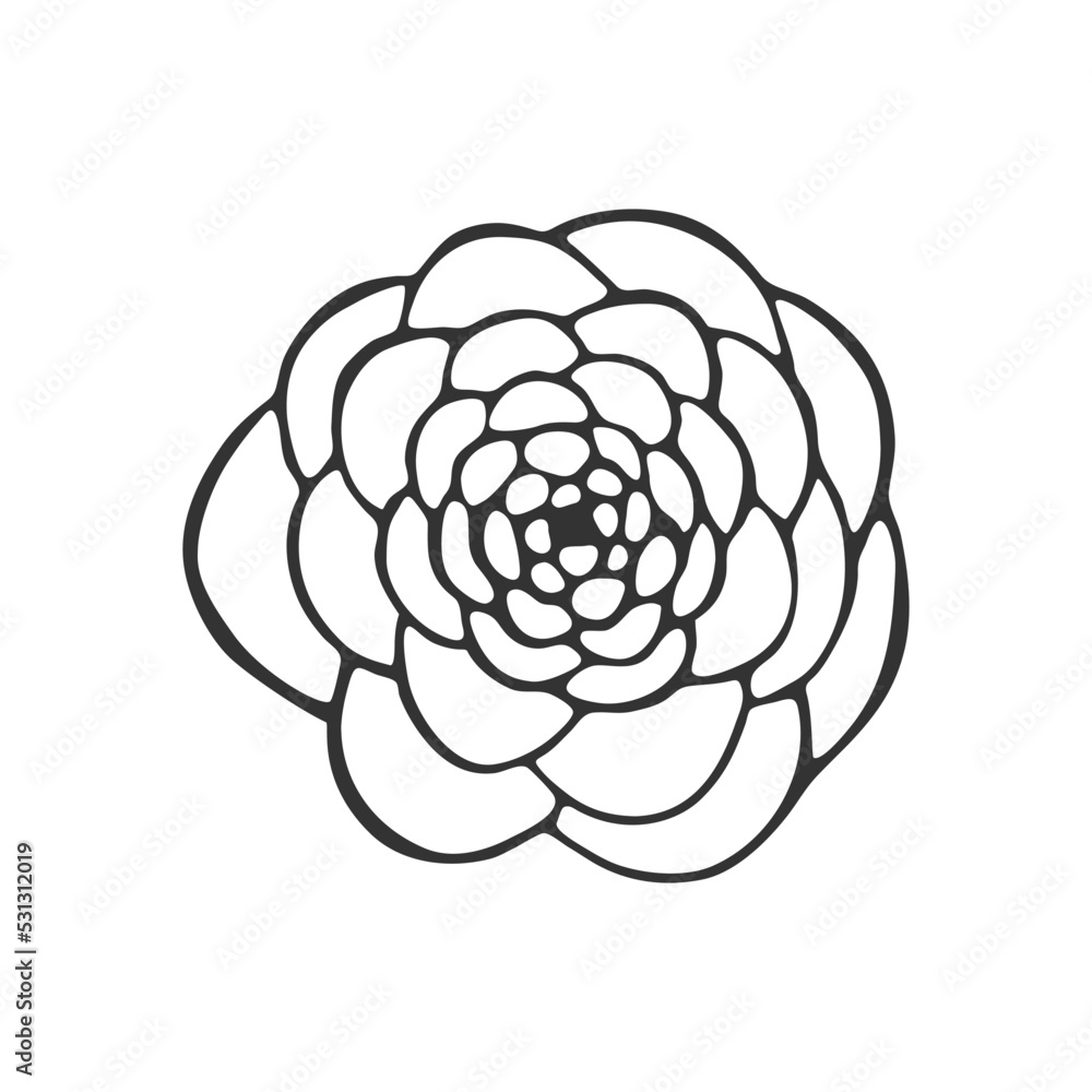 Hand drawn flower isolated on white background. Decorative doodle sketch illustration. Vector floral element. Hand drawn flower isolated on white background. Decorative doodle sketch illustration. Vector floral element.