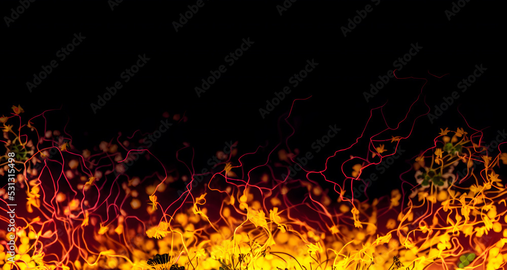 A compact wall of rising fire flowers, yellow, orange and red, surrealist nature theme, over a black background.
A compact wall of rising fire flowers, yellow, orange and red, surrealist nature theme, over a black background.