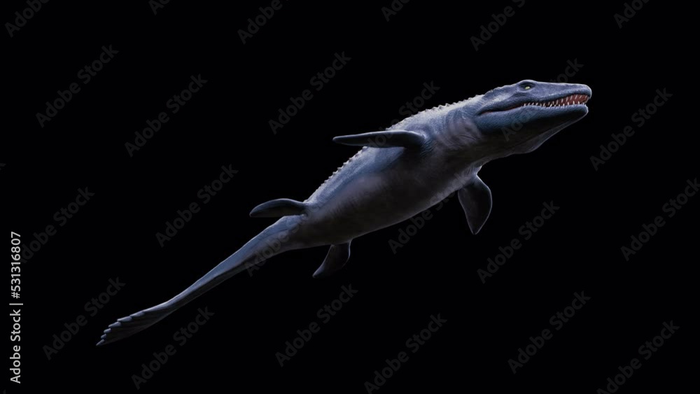 Dinosaur Mosasaurus Underwater Swim and Roar Bottom Front View Loop ...