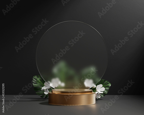 3D rendering platform podium with monstera plant product presentation background