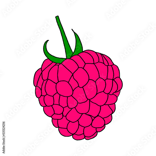 Single raspberry berry in color.Illustration in the Doodle style . Close-up drawing.Sweet dessert, summer berries.