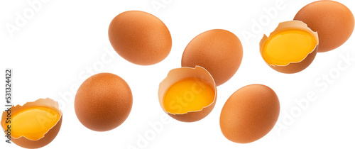 Brown egg isolated photo