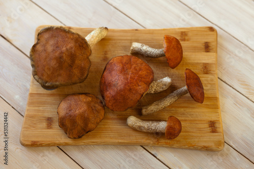 a lot of boletus mushroom fungus -type species of genus edulis cep, penny bun, porcino or porcini