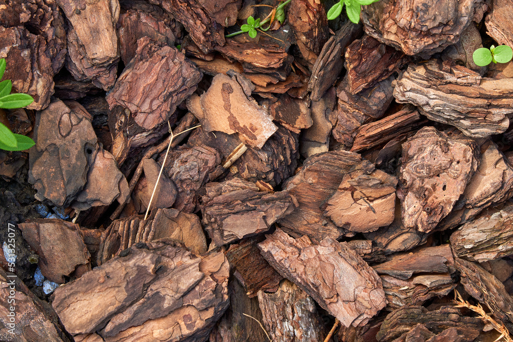 Texture made of pieces of tree bark, decorative decoration. Texture made of pieces of tree bark, decorative decoration.
