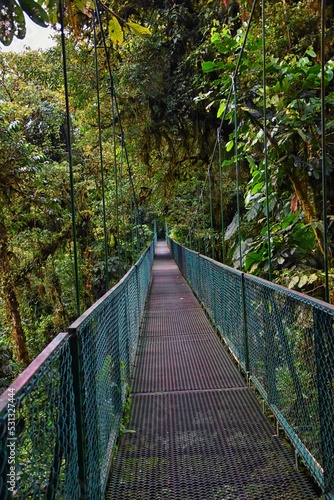 Fototapeta Naklejka Na Ścianę i Meble -  Monteverde Cloud Forest Reserve, hanging, suspended bridge,  treetop canopy views, Costa Rica, Cordillera de Tilarán within the Puntarenas and Alajuela provinces. Central America.