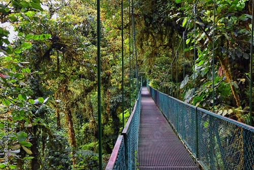 Monteverde Cloud Forest Reserve, hanging, suspended bridge,  treetop canopy views, Costa Rica, Cordillera de Tilarán within the Puntarenas and Alajuela provinces. Central America. photo