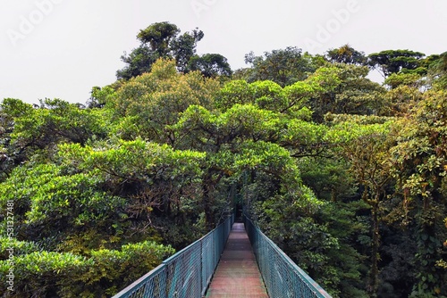 Monteverde Cloud Forest Reserve, hanging, suspended bridge,  treetop canopy views, Costa Rica, Cordillera de Tilarán within the Puntarenas and Alajuela provinces. Central America. photo