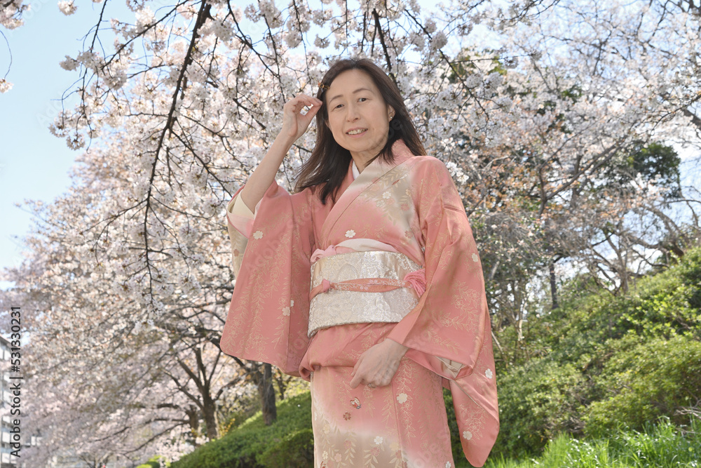 桜と和服女性 桜と和服女性
