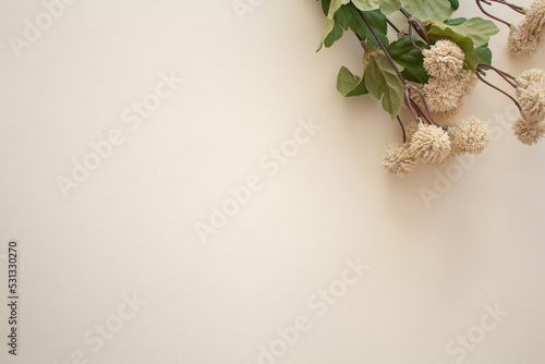 fall botanicals on a backdrop