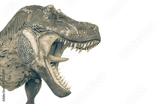 Fototapeta Naklejka Na Ścianę i Meble -  tyrannosaurus rex with toungue out
