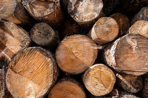 Stacked wooden logs. Sections view.