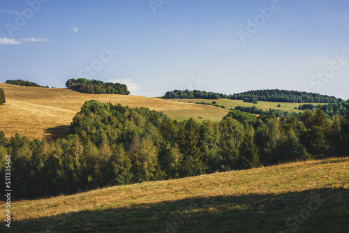 Rural landscape with green fields and forests.Summer season.