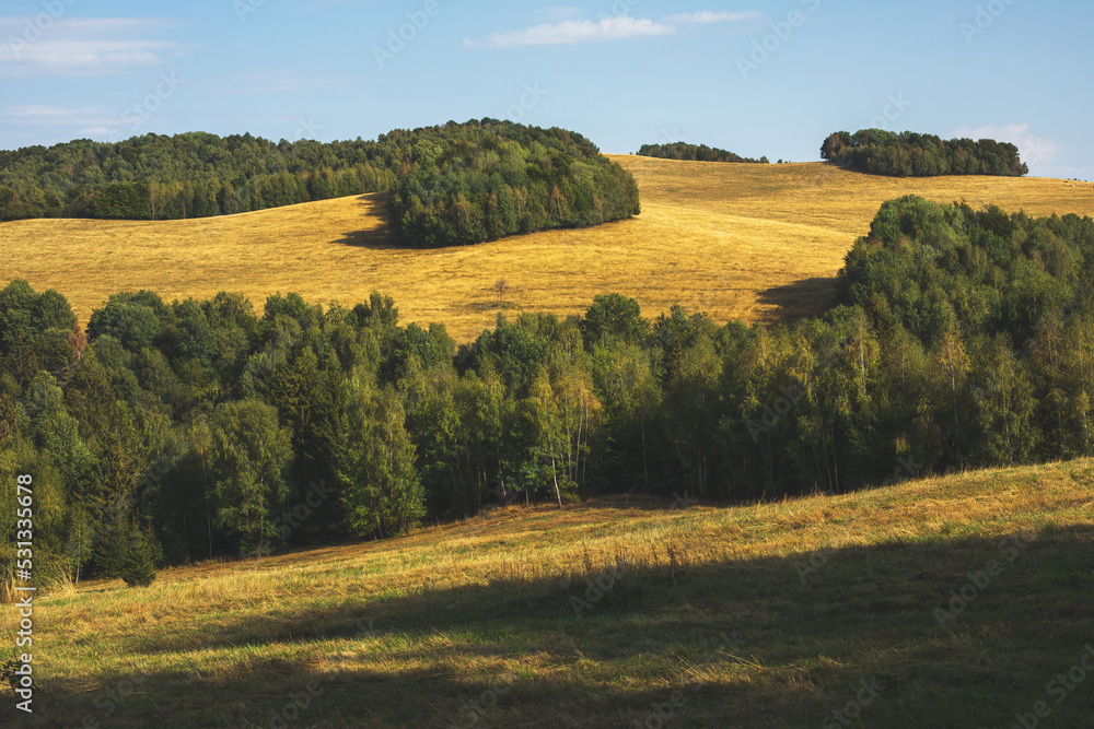 Fototapeta premium Rural landscape with green fields and forests.Summer season.