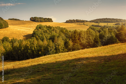 Rural landscape with green fields and forests.Summer season.