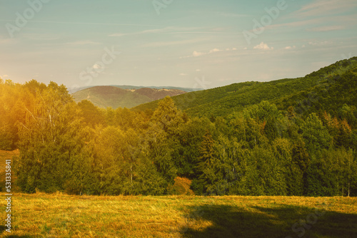 Rural landscape with green fields and forests.Summer season. © Munka