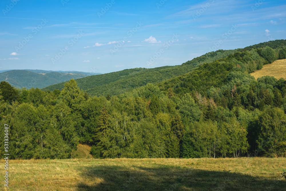 Rural landscape with green fields and forests.Summer season. Rural landscape with green fields and forests.Summer season.