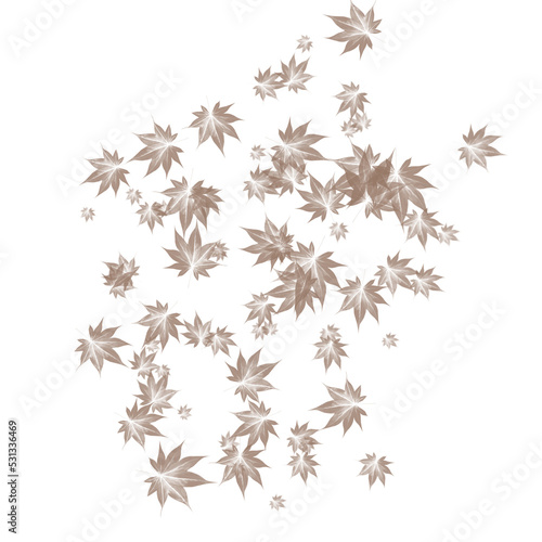 Plant leaf grass illustration  © qaeudigital