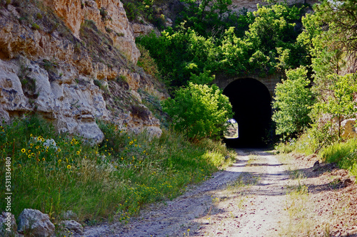 Fototapeta Naklejka Na Ścianę i Meble -  Railroad tunnel