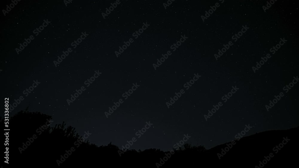 Universe field motion over trees silhouette and night starry sky background,deep space science Universe field motion over trees silhouette and night starry sky background,deep space science