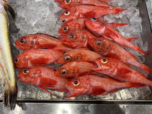 魚屋の風景　氷漬けのきんき 