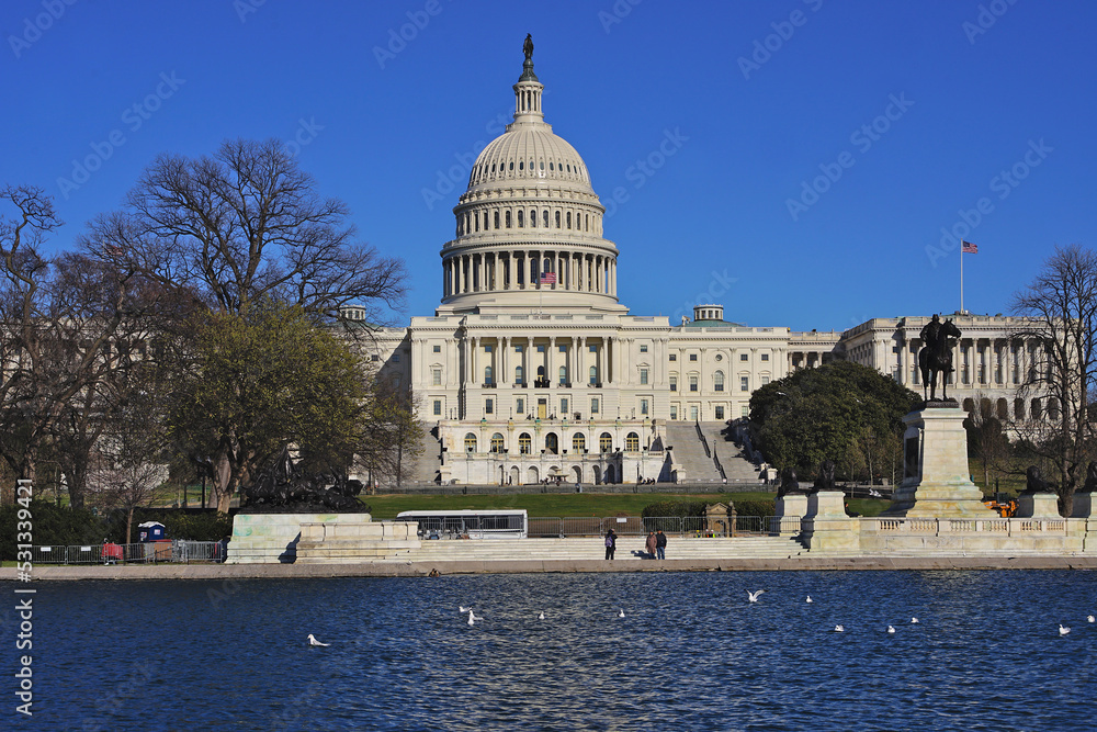 Fototapeta premium Historic senate capitol building in Washington DC, USA 