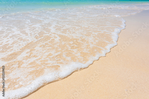 美しいビーチの波打ち際
