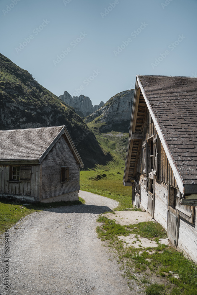 swiss alpine farm with mountains in the background